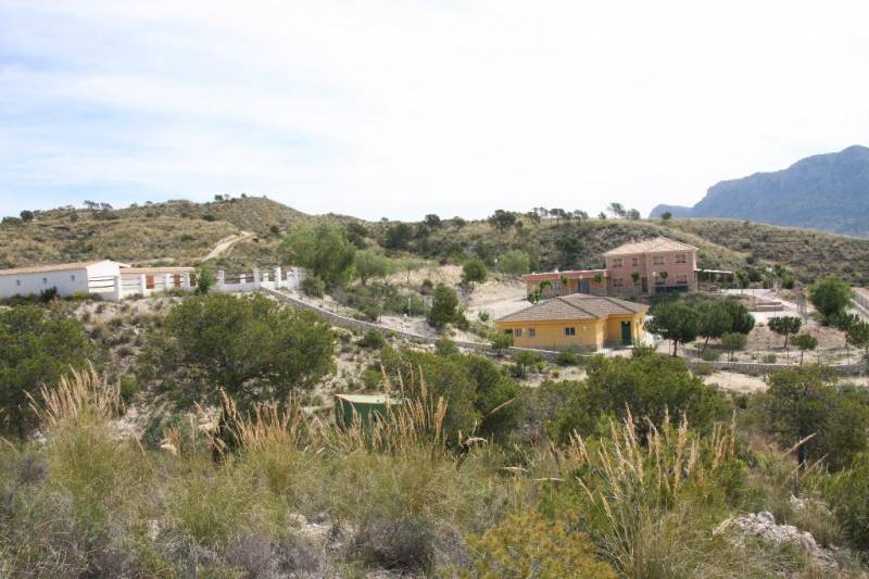 <span style='color:#780948'>ARCHIVED</span> - October 9 Free open morning at the Alto del Rellano ecology park in the countryside of central Murcia