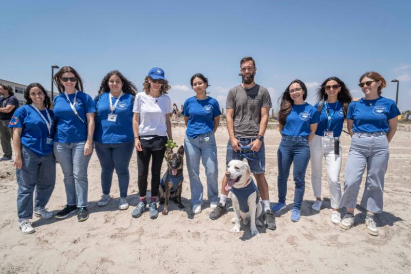 Two furry recruits join the Spanish turtle watch brigade