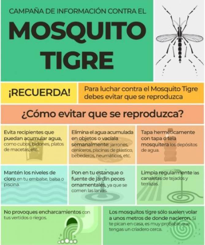 Alhama de Murcia Anti-Mosquito Campaign 2024: Recommendations for keeping mosquitoes at bay