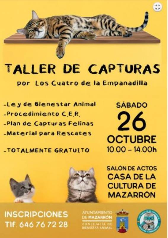 October 26 Free workshop on rescuing feral cats in Mazarrón