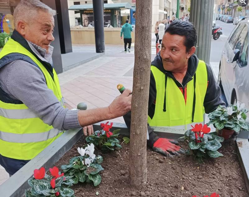 Caravaca goes green this Christmas with hundreds of newly planted flowers