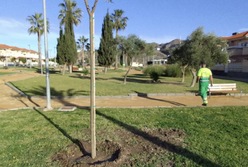 25 trees planted in Águilas by the department of green areas