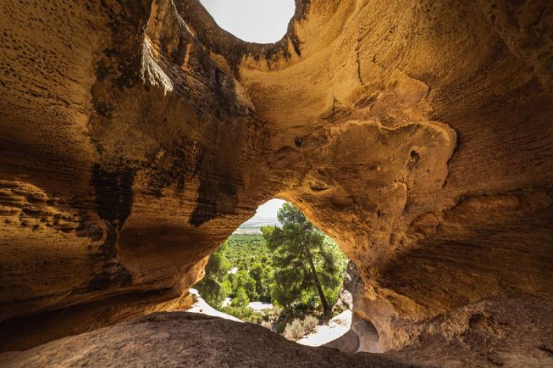 June 14 Guided evening walk at Monte Arabí and wine tasting at Bodegas Castaño in Yecla