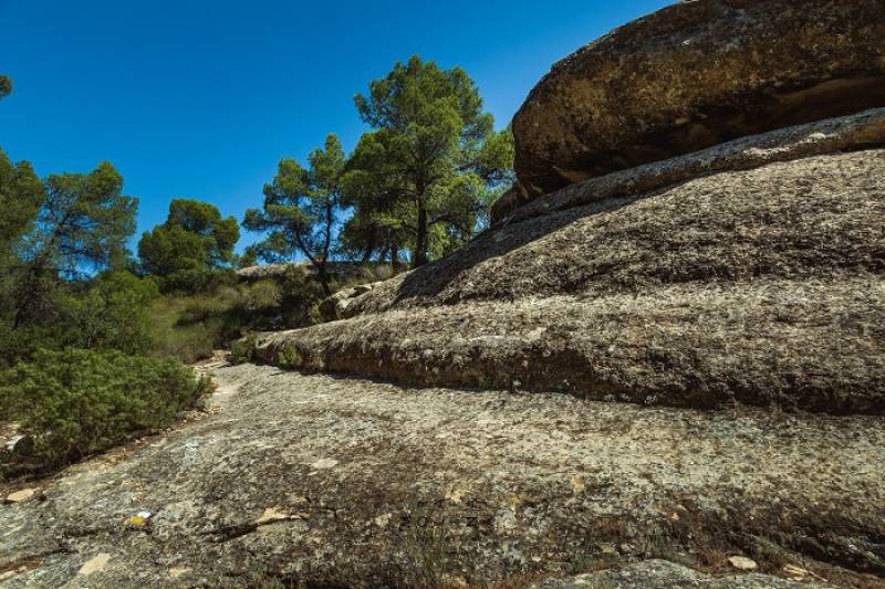 June 14 Guided evening walk at Monte Arabí and wine tasting at Bodegas Castaño in Yecla