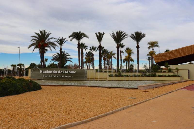 Ona Hotels considers introducing day pass for Hacienda del Álamo residents to use the pool