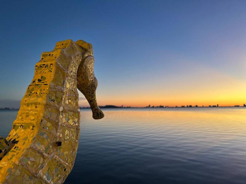 Mar Menor water temperature nears 30 degrees Celsius as heatwave threatens lagoon's delicate balance