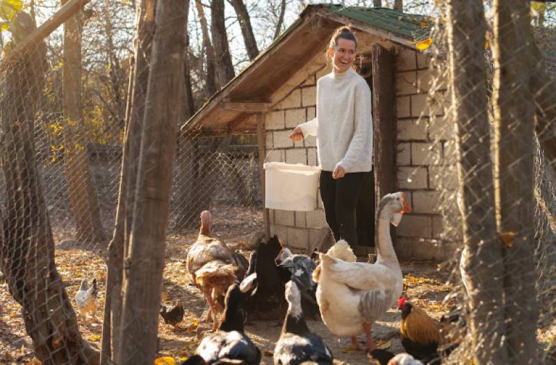 Murcia extends bird flu lockdown to backyard chickens