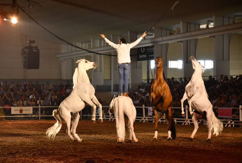 March 12 to 15 Equimur Horse Show in Torre Pacheco