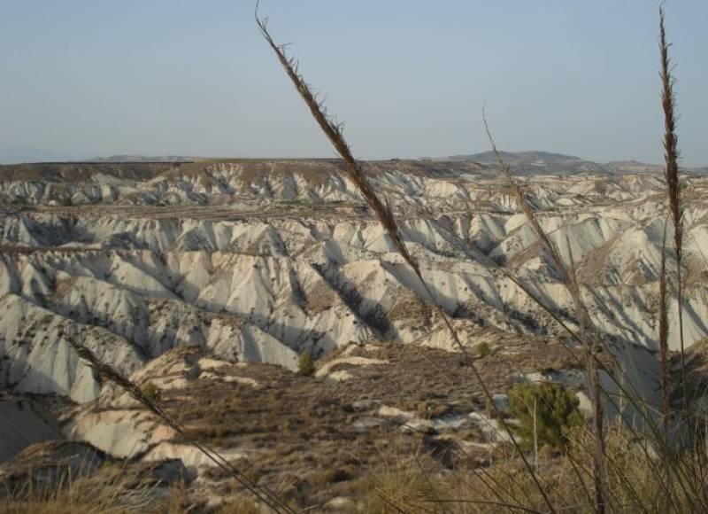 June 20 Free guided tour IN ENGLISH of Gebas in the mountains of Sierra Espuña