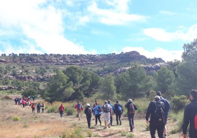 May 24 Free guided walk along the Chicharra greenway in Yecla