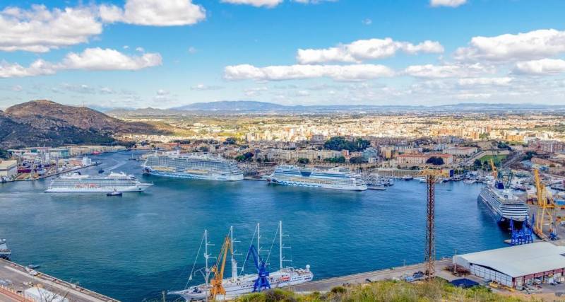 The giants of the sea take over Cartagena: More than 25,000 cruise passengers will arrive in July