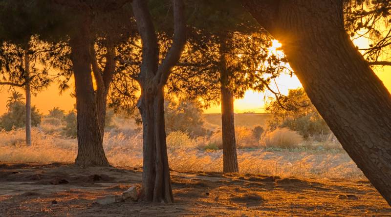 Murcia photo of the month September 2026