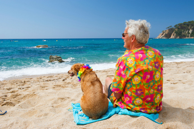 Are dogs allowed on the beach in Spain?