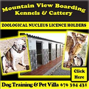 Mountain View Kennels